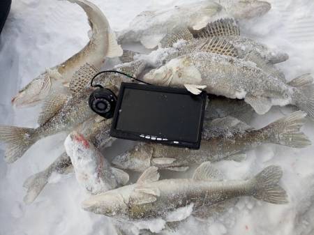 КАМЕРА подводная внеш АКБ(6ч) ИК+LED 7" 20м 23-24г "FocusFish"