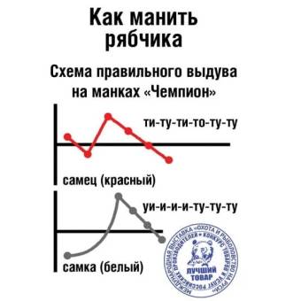 МАНОК НА РЯБЧИКА НАСТРОЕННЫЙ СО ШНУРКОМ (САМЕЦ) КРАСНЫЙ