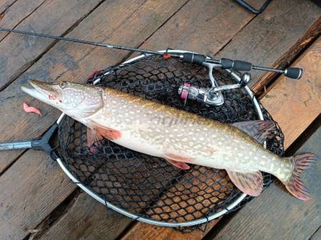 СПИННИНГ дл.1.83м т.0.4-3г Atria Trout 602SUL "SLrods"