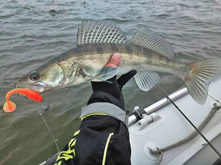 ВИБРОХВОСТ "2.9" (7.40) TIOGA PRO SERIES T26 "Lucky John"