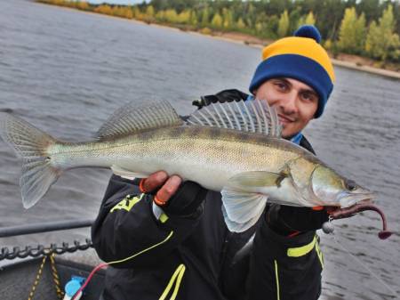 ВИБРОХВОСТ "2.2"(05.60) MINNOW S13 "Lucky John"