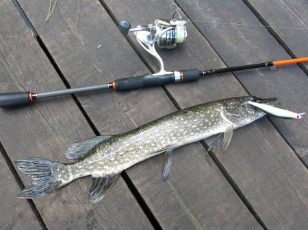 ВОБЛЕР Cуспендер FIT MINNOW 110SP 311 "Lucky John"
