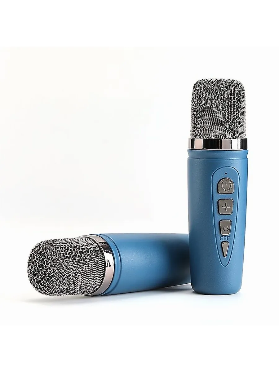 Колонка динамик караоке T&G TG542DK с микрофоном/Цв.:Черный